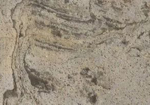 Zeera Green Slate